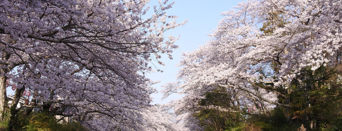 ̐iɐÂɐZ s{蒬uʐv̍