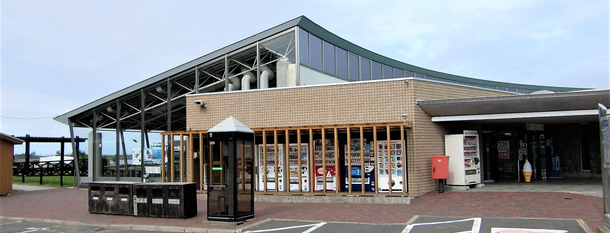 kCẺwuX44˂ނv͖쒹EYiI