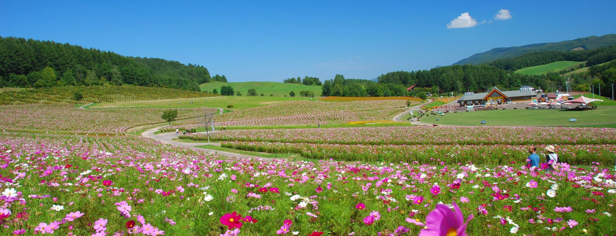 kCuz̋u񂪂v̓RXXłςI