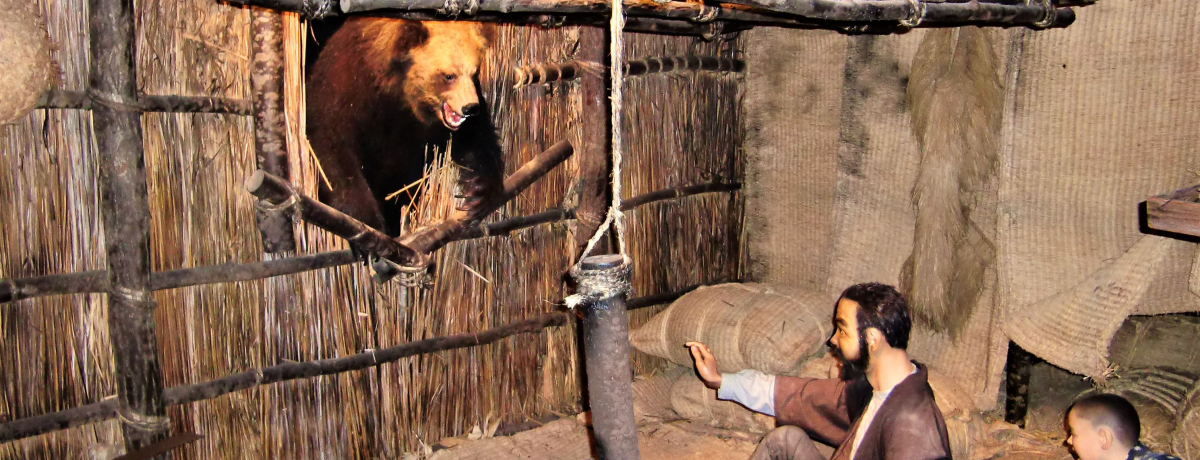 Oѕ㯎̓WBkCϑOōsX|bg܂Ƃ