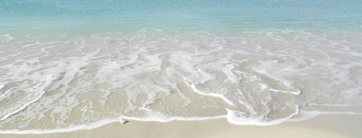 AJn`̌ʂĂʖƐM̓`ꌧugƊԓv