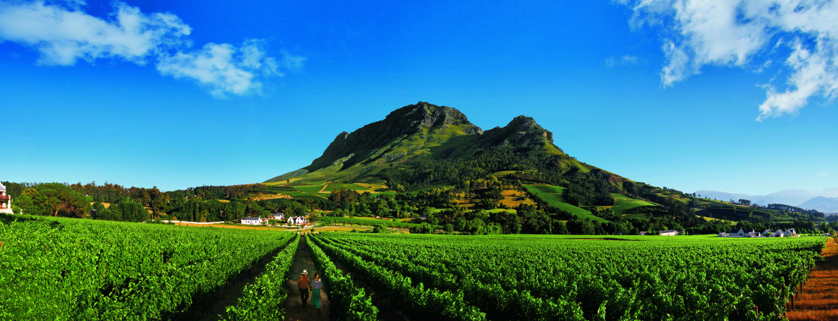 ��A�t���J�́u���C�������h�v�Ŕ��H�Ɛ�i���y�������I