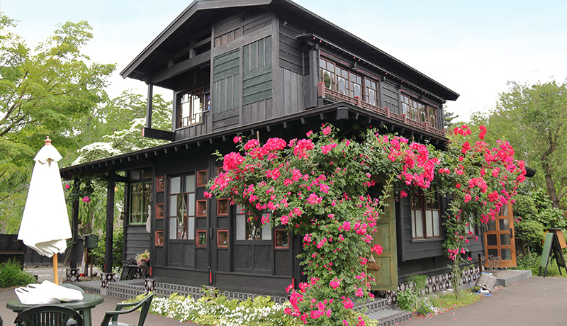 HcEƉ~JtFu˂˂v͏agȖ̋