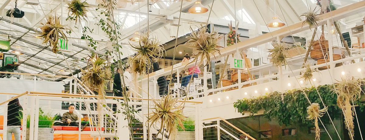 AinC̐VIyt[hR[gupbLOnEXv̖