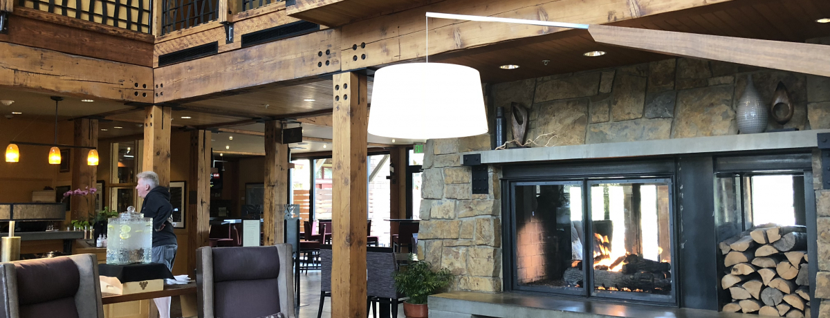 �x�O���s�S���I�V�A�g�����y���ނ��߂ɔ��܂肽��2�̃z�e��