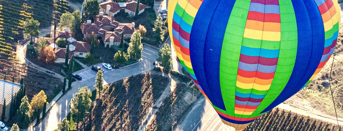 ���C���̖����I��J���t�H���j�A�u�e���L�����v�ό��X�|�b�g�U��