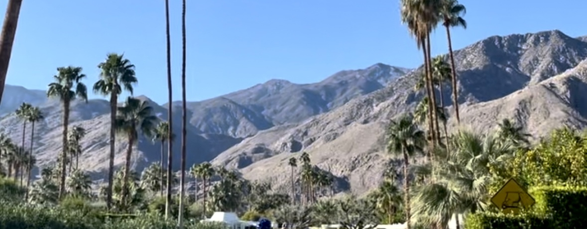 �����̃I�A�V�X�I�J���t�H���j�A�u�p�[���X�v�����O�X�v�̑̌�4�I