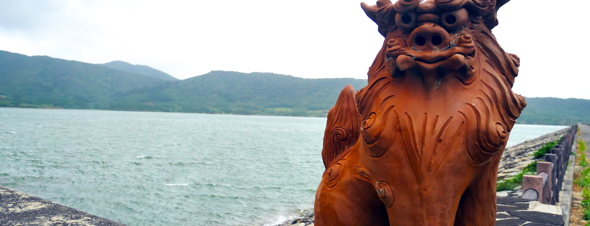 �Ί_�������h���C�u�I�_���߂���Ń_���J�[�h���W�߂悤�I