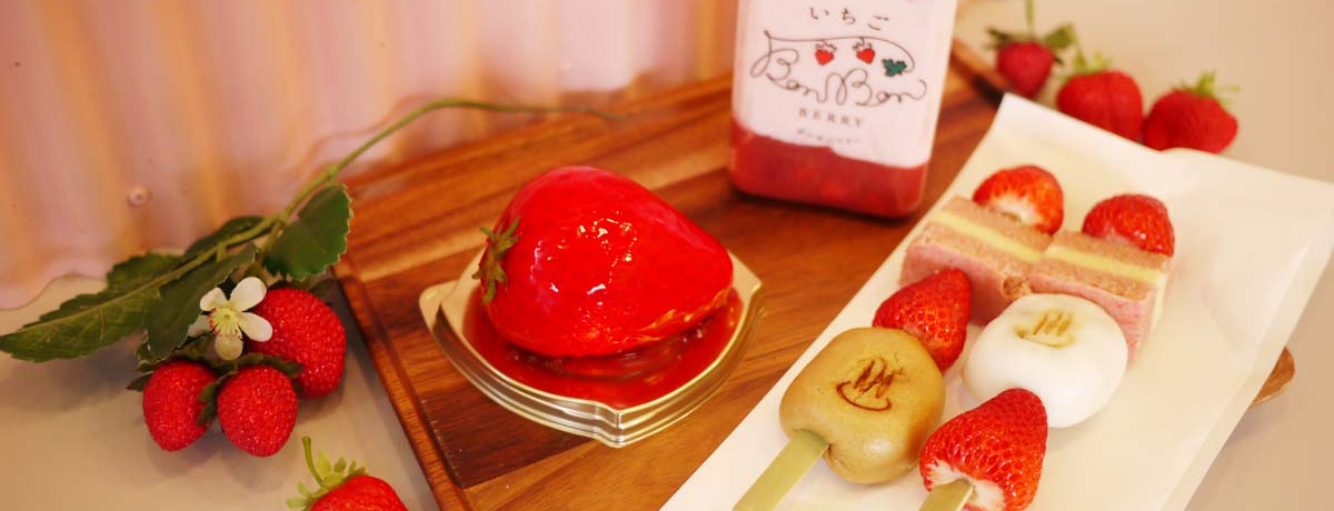 MCɊۂƂXC[c̃rIBonBonBERRY@ATAMI HOUSE.