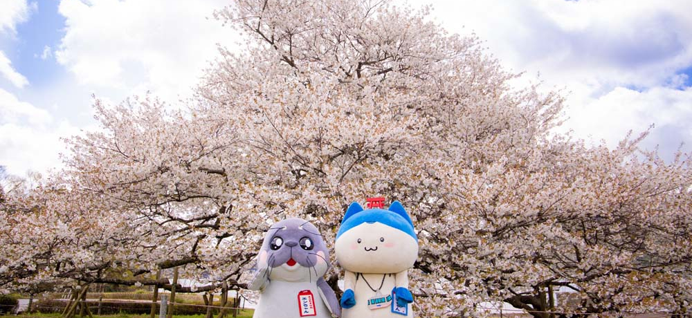 ���킢���������i�E����܂ŁI1���V�ׂ�u�������v�U���@