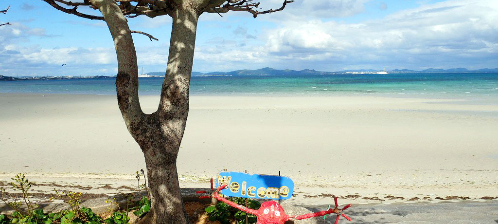 ��i�E�O�����Ńp���[�`���[�W�I����u����܎s�v���h���C�u