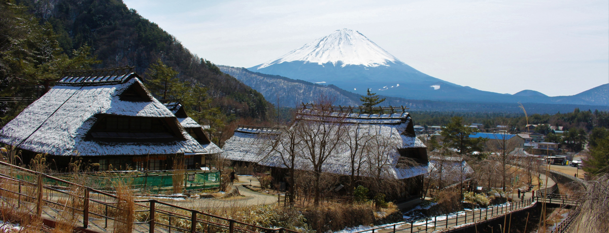 ƂƕxmR̃r[|CgIRu΂₵̗v