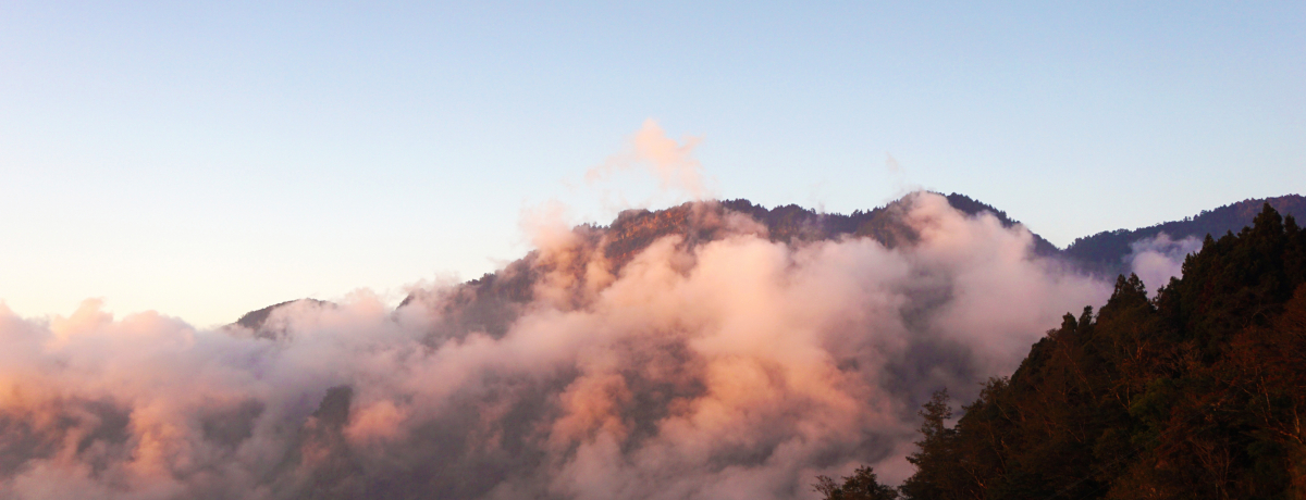 ꏗq̐S₷IpER̃p[X|bg闷