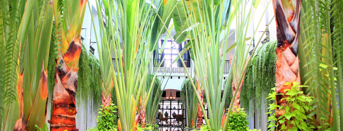 OWA[5zeIoRNuUETCAvɊyޗU