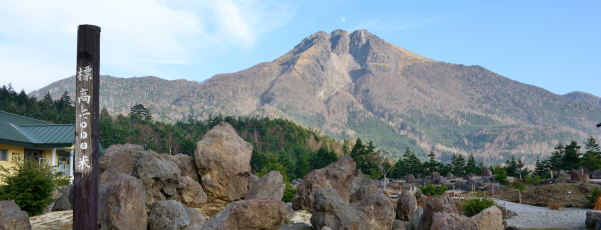 Qn@R[vEFCŕW2000n_2.5q̋󒆎U