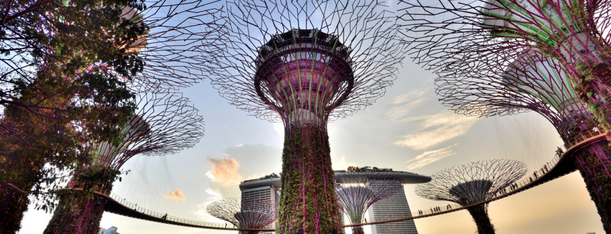 �؂̏�ɂ��郌�X�g����!?�V���K�|�[���u�X�[�p�[�c���[�E�o�C�E�C���h�V���v