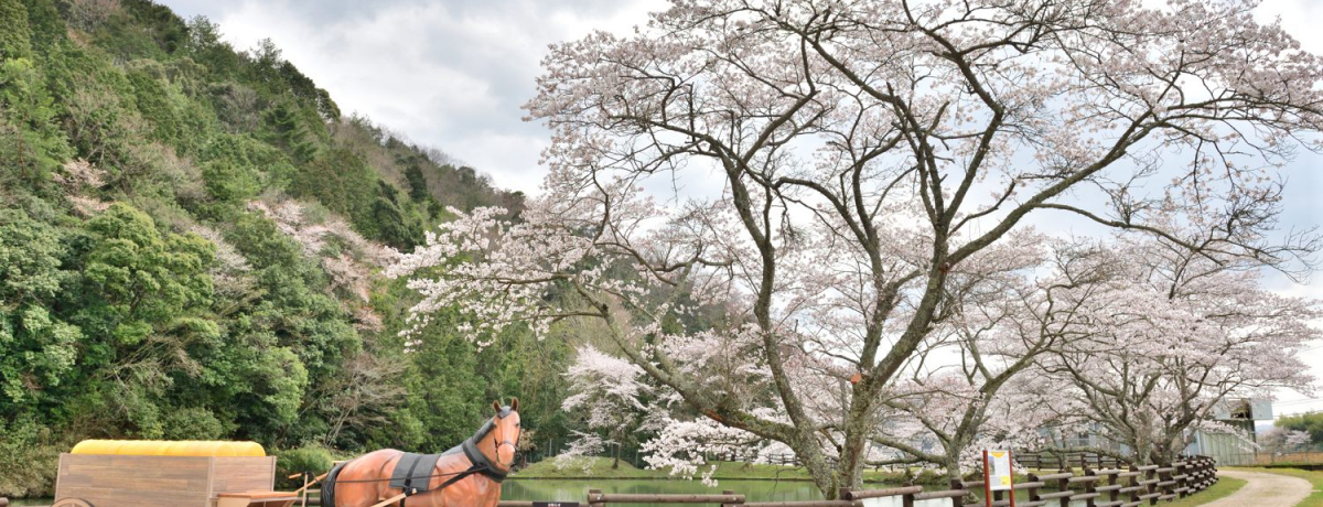 Ɍ̂ǐ^񒆁Iu_͒v̖͂T̃L[[h