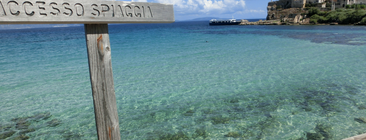 �g�X�J�[�i�Q���u�s�A�m�[�U���v�N���X�^���u���[�̊C�Ɣp�Ђ̓�