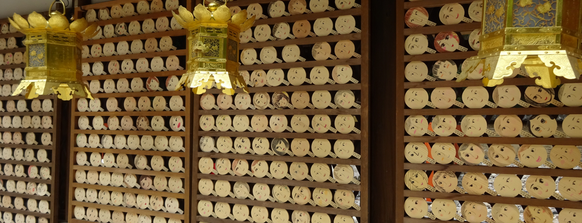 sŔFIGnŗLȁu͍_Ёṽ͔p[X|bg