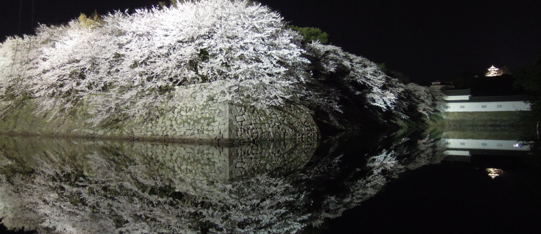 ���ߑ����o��������I�F�������ƂЂ��ɂ��ɉ�ɍs����