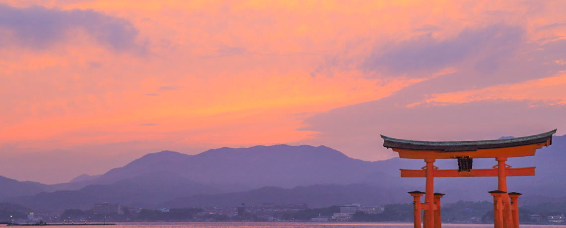 ���E��Y�u�{���v���ۈ���V�т����I�{���������߃K�C�h