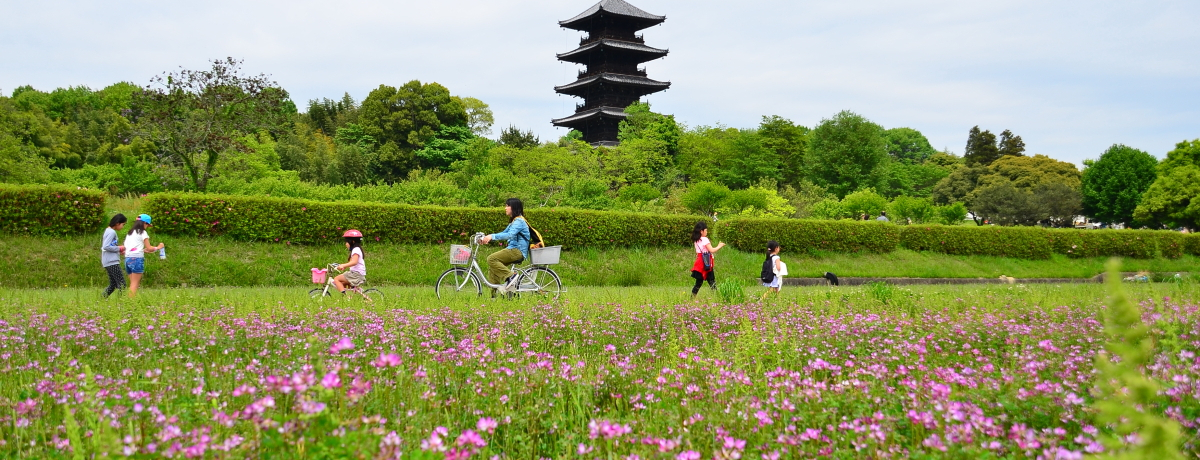 ��񂰂܂��GO�I���R�E�g���H���]�ԓ��ŋC���u���T�C�N�����O