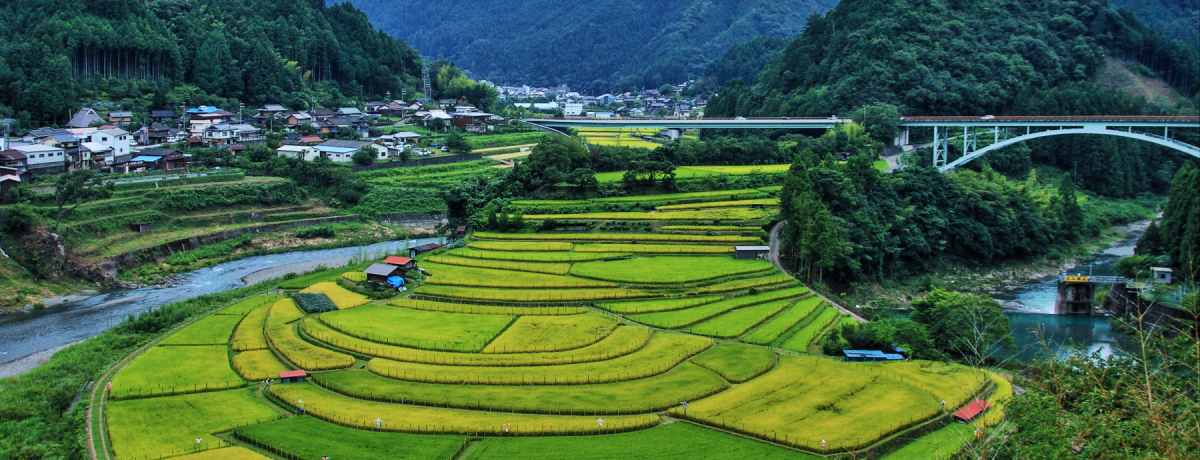 {̒IcSIu炬vIa̎RELc쒬̐iX|bg