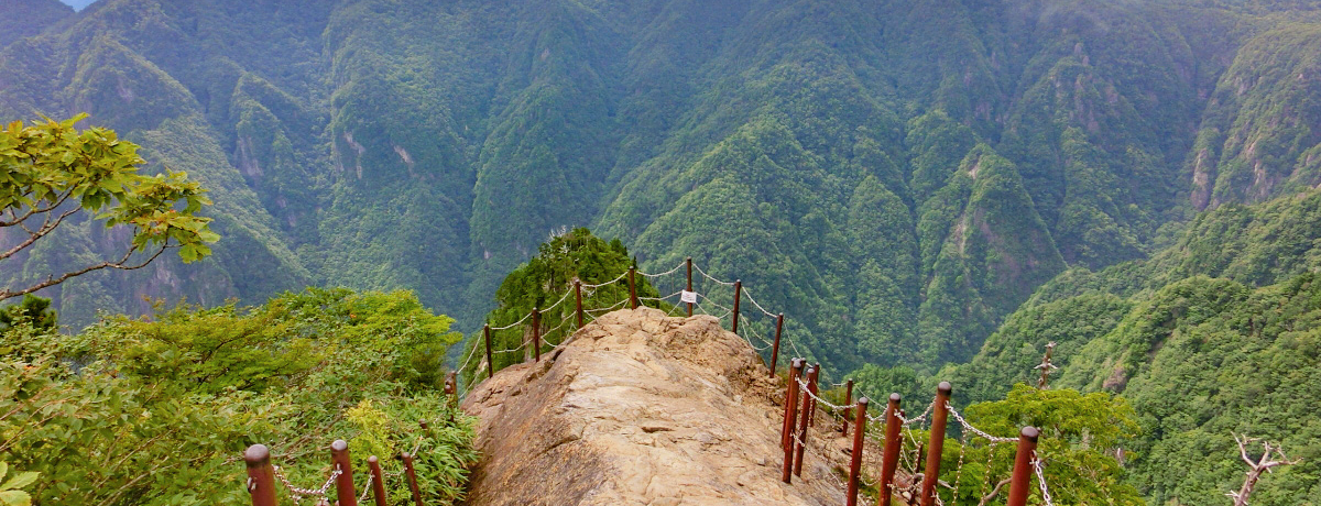 ߋẺEޗǌu䃖vŐ^Ă̗ƃX𖞋iI