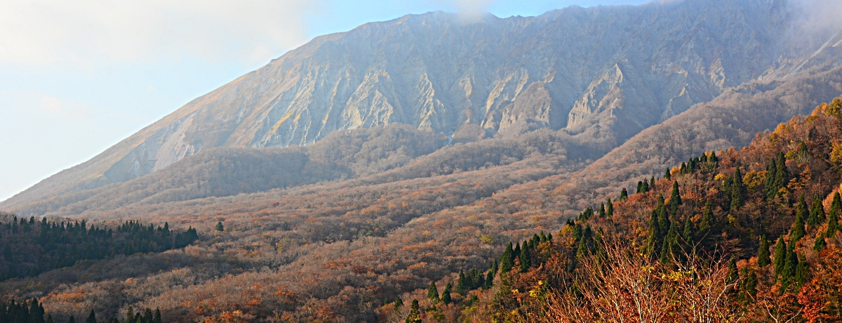 EH̑R̒]yށuxXgX|bg3IvI