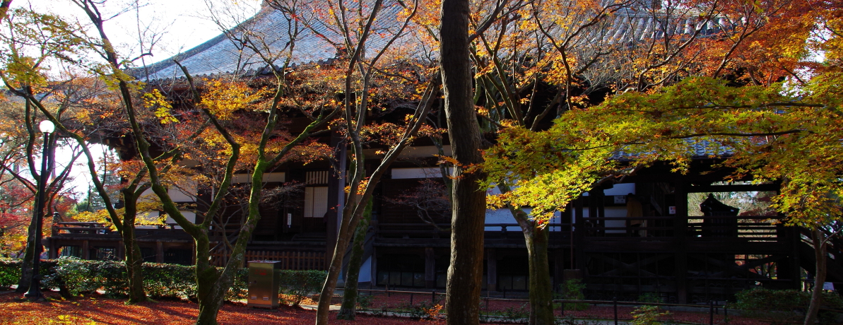 ssE̍gt̖u^@v́gUgth