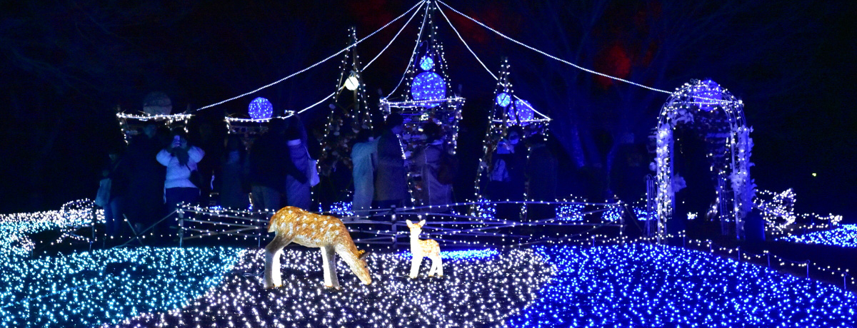 �ޗǌ������ޗڗ��F�̌��u�����킹��L�Ȃ�ڗ��G�v�ɍs�����I