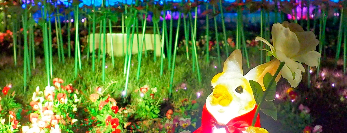 ƌ̍I{Ԃ̕u͂ȂԂTNXC~v