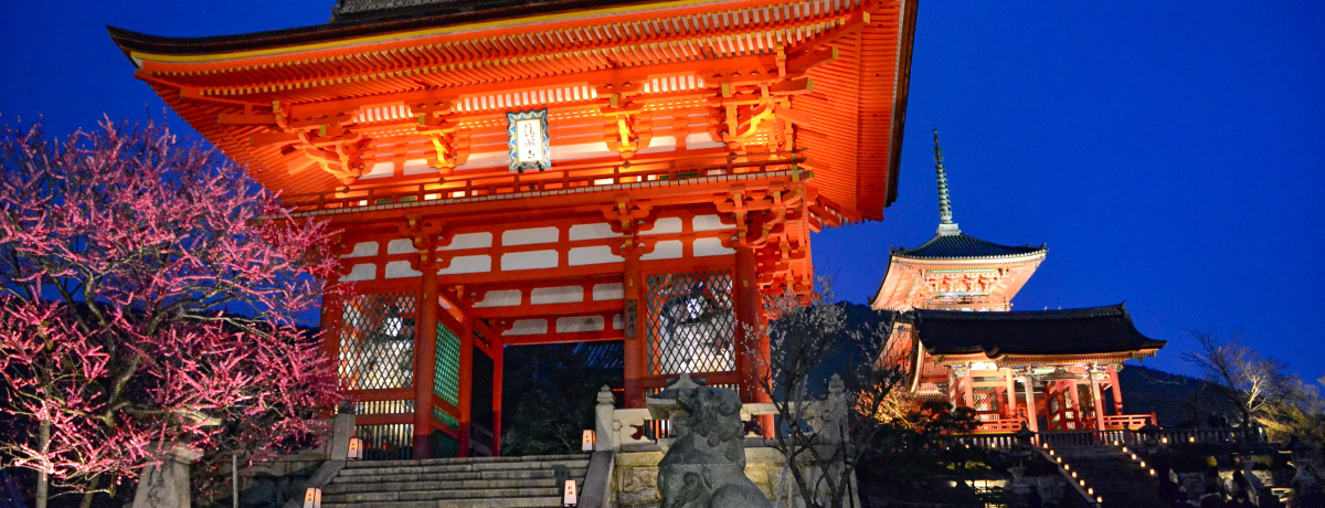 20�N�̗��j�ɖ��I�u���s�E���R�ԓ��H�v�ŌÓs�̖�𖞋i