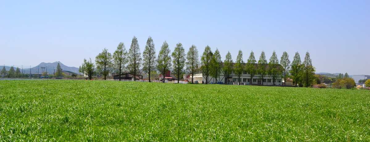 ɌEsŁggkCh̕iɉɍsI