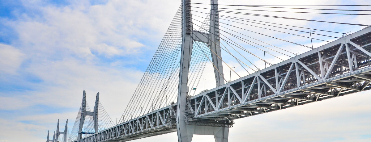 HoXłsȂEˑ勴uCΓvŃubWr[