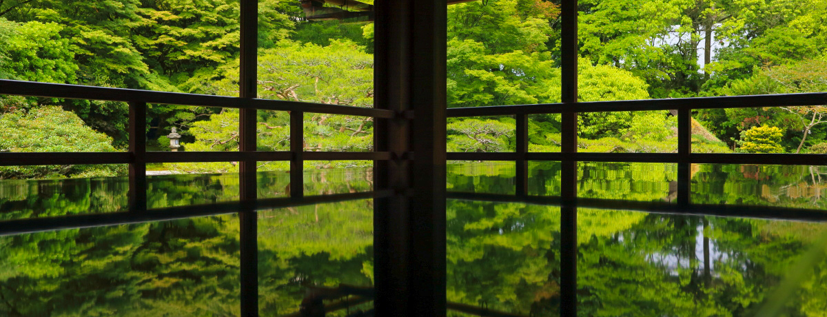 ���ꌧ�E��{�̌����V�u���|�щ@�v�Ń��t���N�V�����B�e���y����