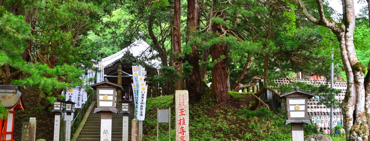 EMyuʌjv͒n̐M̌gMy̍O@h