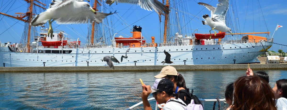 �x�R�E�V���ό��D�̓���V���R�[�X�Łg���{�̃x�j�X�h�𖞋i�I