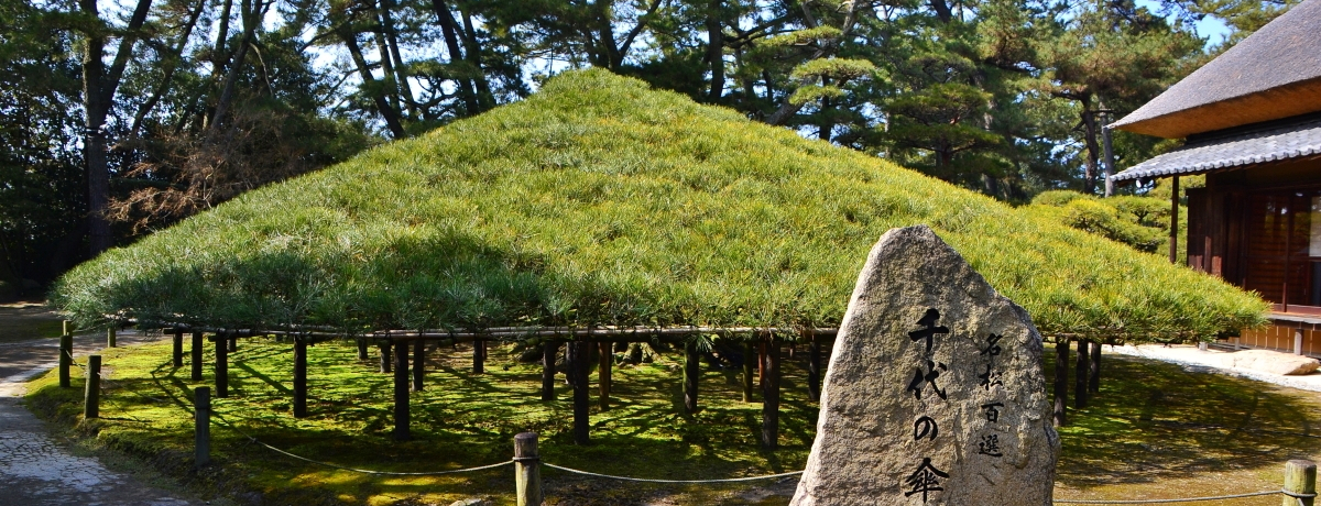 ���쌧�u���Ö��ۉ��E�ۋT���p�فv��1��5��؂̉�V���喼�뉀