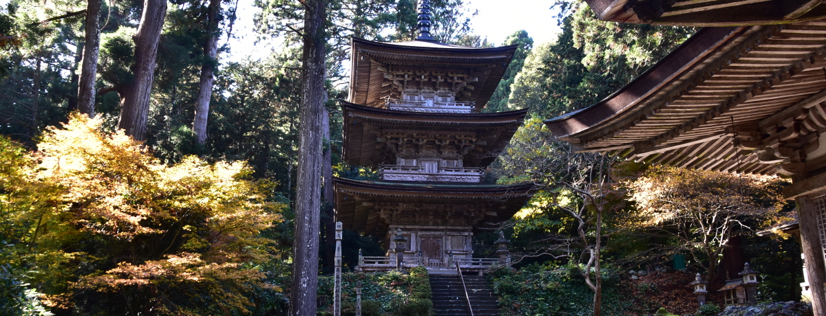 �C�̂���ޗǁI���䌧�E�ዷ�u���l�v�ō���Ɩ����뉀�����낤