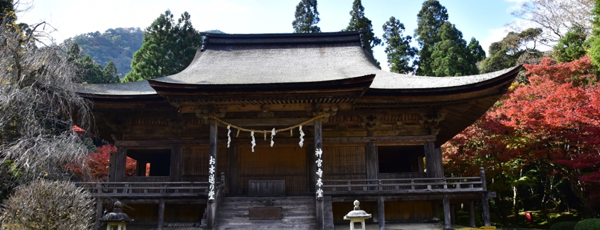 䌧g̓shዷHElŁuṽ[cH낤