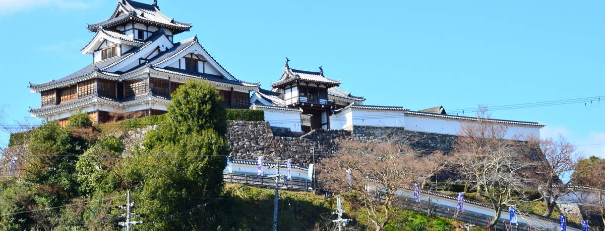 qG䂩́umRv͖kߋEŗB̓oVt