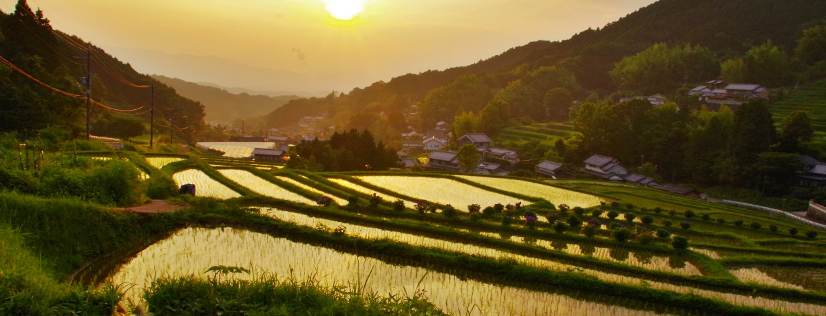 ޗǁEuvucvuvuאv4̒Ic