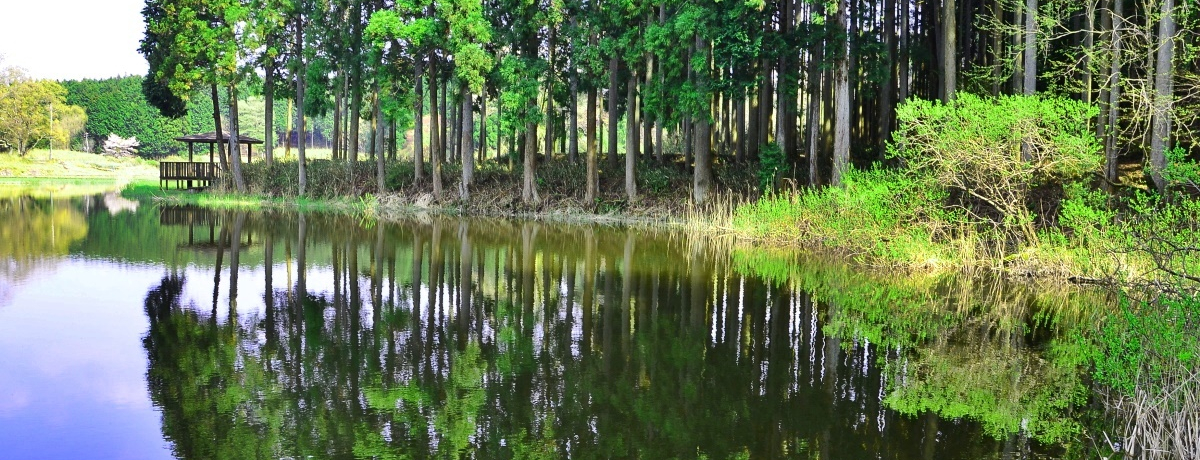 ޗǁEFɂ̐_X|bg3IIGnEE[JkJ