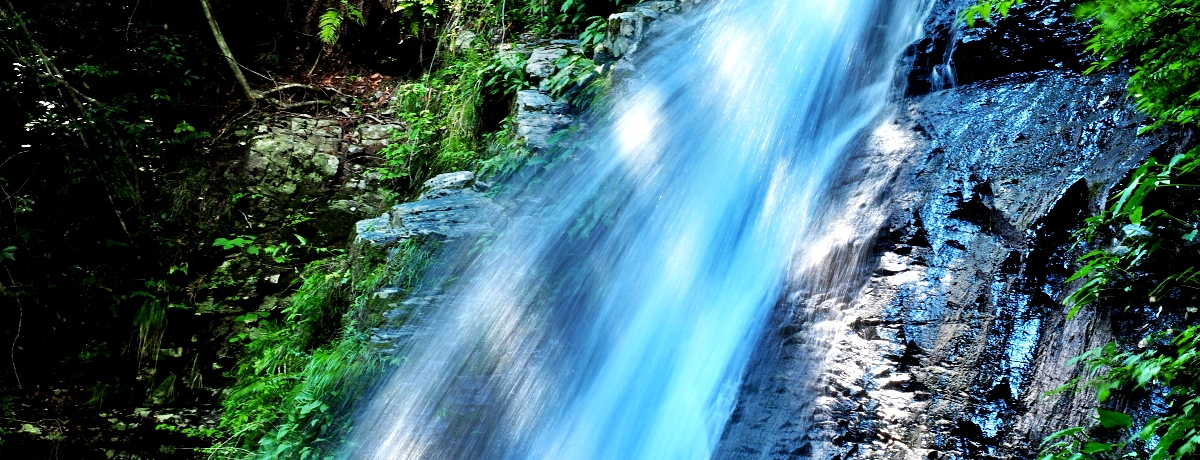 ޗǁE㑺ux̑v͑aEYVc䂩̒n