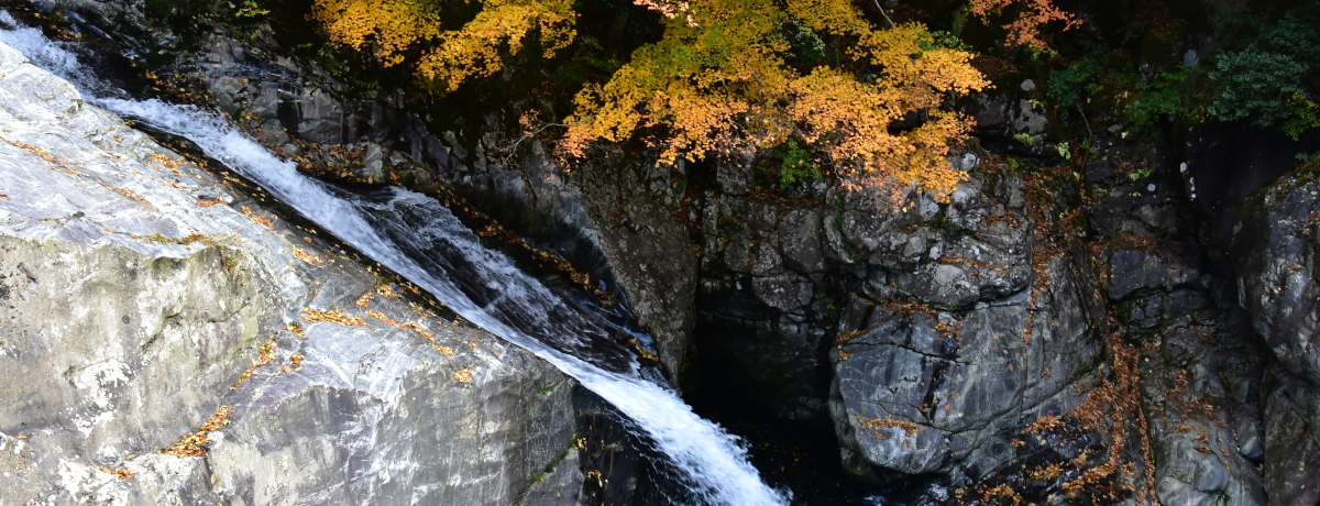 ֐w̌kJIޗǁEV쑺u݂炢Vv