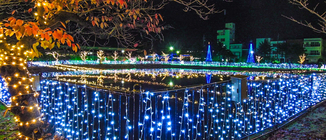 �ޗǌ��ő�I�V���s�u���̍ՓT2021�v�����߂��̐��E��