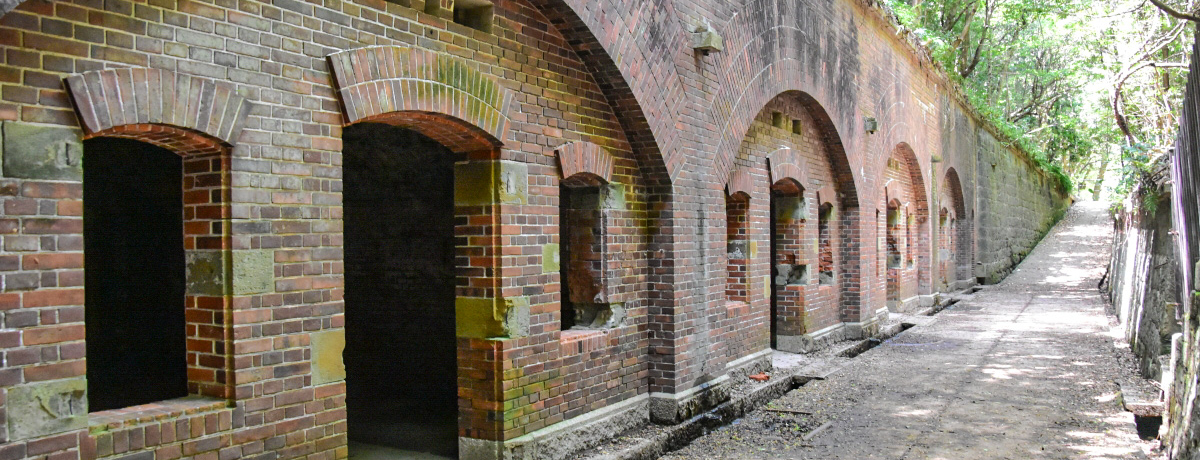 IWCɕԃs^̐EIa̎REFT悤