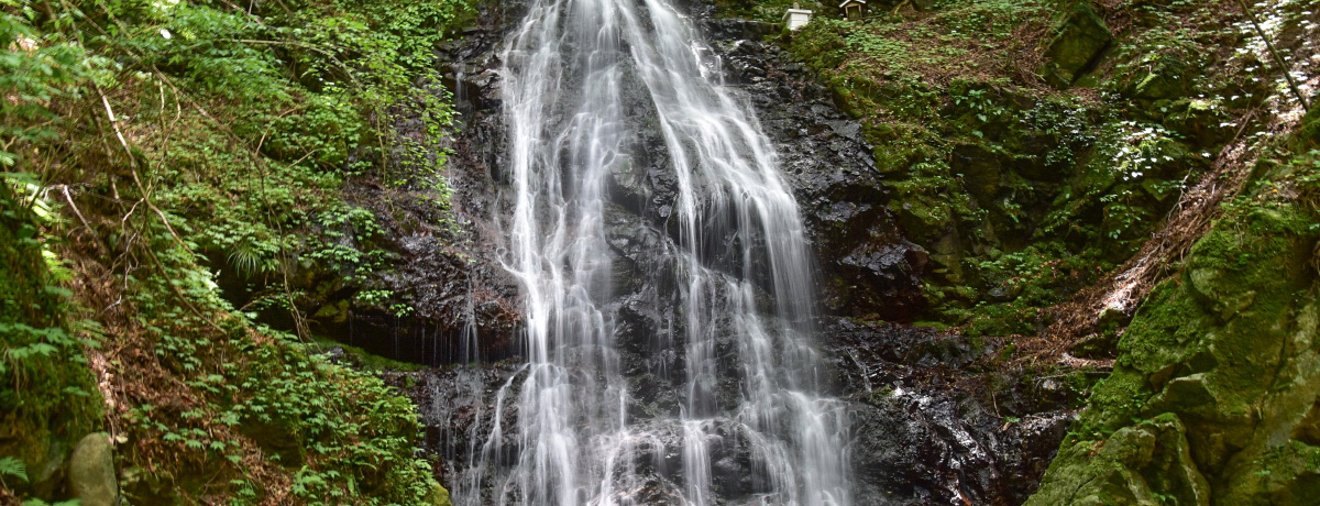 ^ĂłIޗǁE񑺂̕s̑Ɖc̒J̔Đ