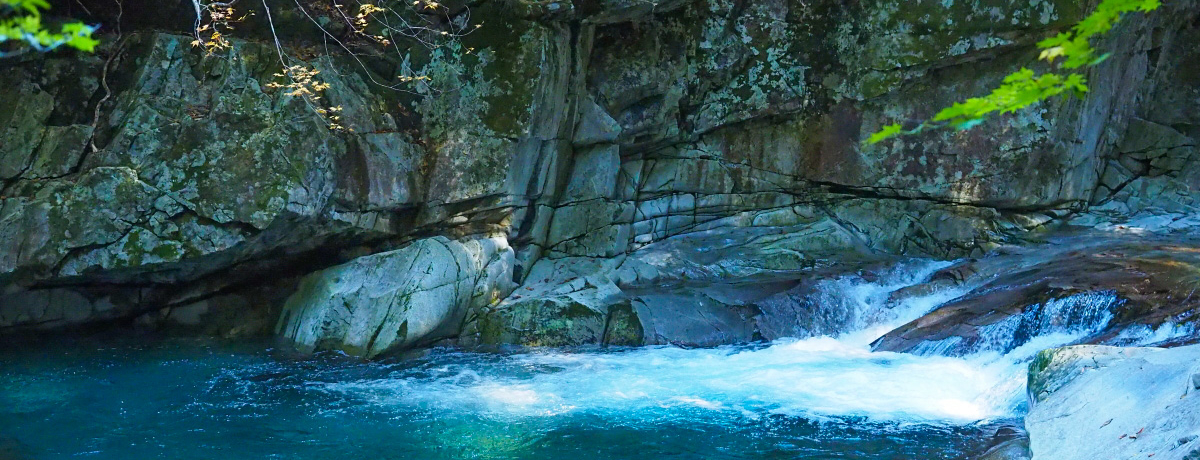 ݂苴ƏߓɌkJIޗǁEV쑺u쎩RHv